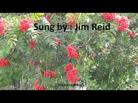 Rowan Tree sung by Jim Reid