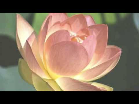 Sin Sisamouth & Ros Sereysothea - Akura Lohet