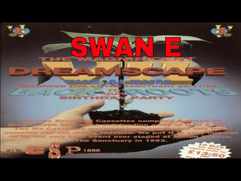 SWAN E @ DREAMSCAPE 7 - BACK TO OUR ROOTS 26/11/93