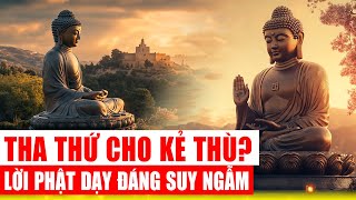 Có nên tha thứ cho kẻ thù? Lời Phật dạy khiến triệu người suy ngẫm
