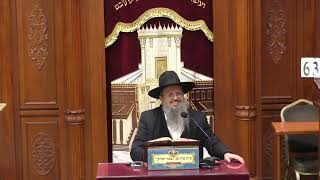 נביאים כתובים | הרב דוד לוי | ספר משלי - פרק טז' - ט' כסלו -תשפ"ה
