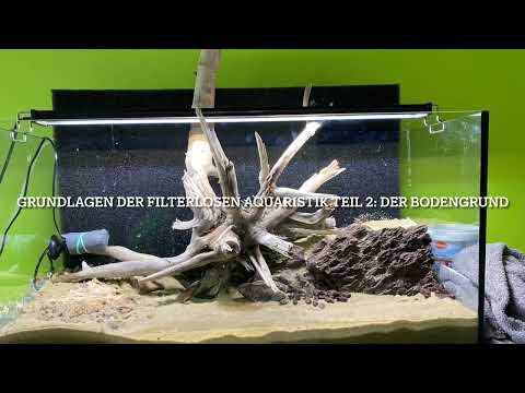 Grundlagen der filterlosen Aquaristik Teil 2: der Bodengrund￼#filterlos