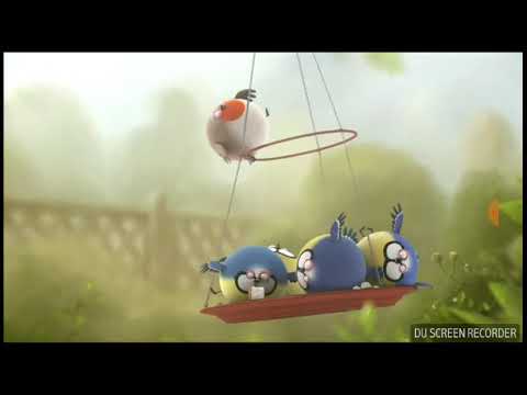 Rollin'Wild:tinner and swallow