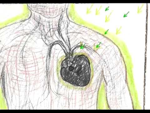 Yedi Safha, Dört Teslim, Yirmisekiz Basamak