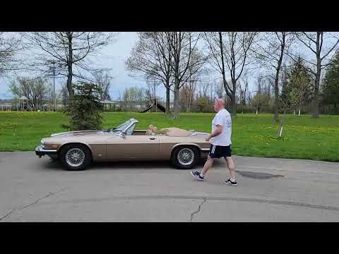 1988 Jaguar XJ (CC-2054242) for sale in Hilton, New York