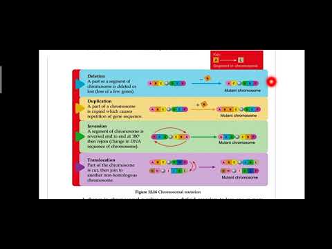 Biology Form 5 5-Chapter 12|12.2 Variation in Humans | 12.3  Mutation