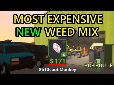 Schedule 1 Best Weed Recipe. Best Weed Mix Recipe for the Most Expensive Weed Strain in Schedule 1