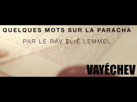 D'autres chats à fouetter... Rav Elie Lemmel - Paracha Vayechev