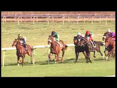 rm 20151108 02 p guidoberardelli