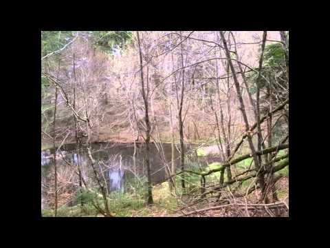 Forêt de la Loubatière et lac de Laprade + repérage