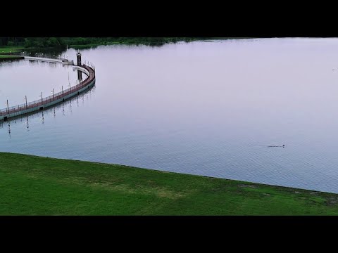 1129 Beacon Shore Road Kemp TX