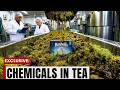 8 FAKE Australian Tea Brands You Should NEVER Buy