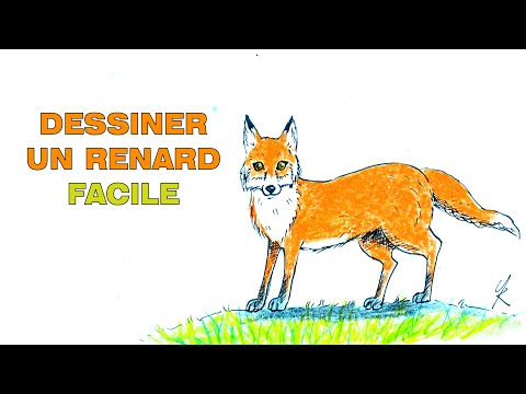 Comment dessiner un renard debout tres facilement