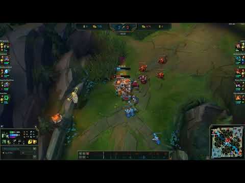 The Classic Barrier Warwick vs Heal Sett Top