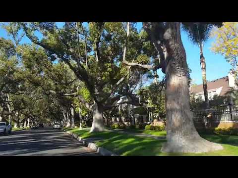 Why we are in Beverly Hills California