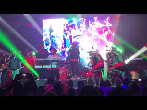 Junky (Live) ~ AVORONG | Video by DRK