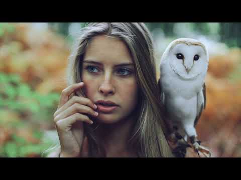 Tiikk & Tomokari  -  Wanderer !!! Music for relaxation (Музыка для отдыха)