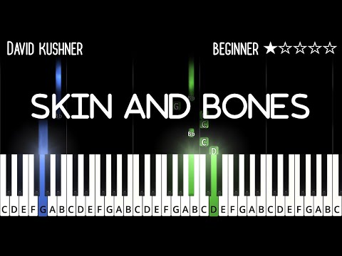 Skin And Bones - David Kushner