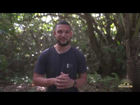 Leki's Tour of Niue | Area Codes