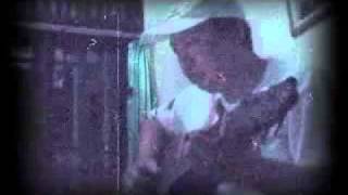 Download lagu sahabat sejati mp3