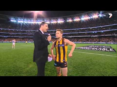 AFL 2013: LAST 5 MINUTES - Hawthorn vs. Geelong (Preliminary Final)