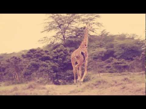 Just A Band - Migingo Express (Abridged from Kudishnyao!)