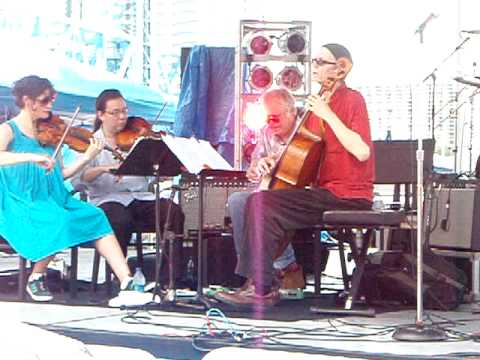 Bill Frisell 858 Quartet - Jacksonville Jazz Festival 2009 the landing