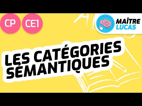 Tri de mots - Ranger des mots par catégories sémantiques CP - CE1 - Cycle 2 - Français - Vocabulaire