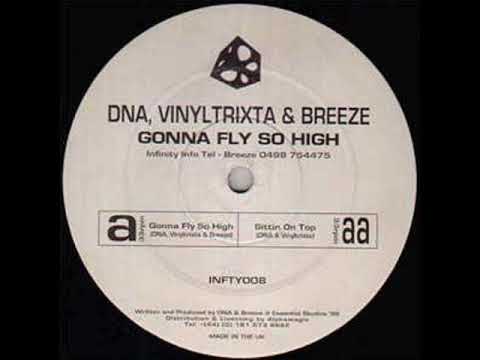 DNA, Vinyltrixta & Breeze - Gonna Fly So High (1999)
