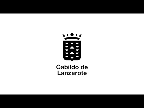 Pleno extraordinario del Cabildo en directo