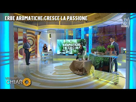 Vediamoci Chiaro (TV2000) 29 maggio 2023 - Tutto sulle erbe aromatiche