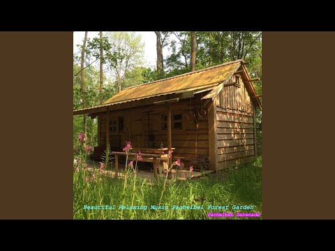 Beautiful Relaxing Music Pachelbel Forest Garden