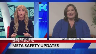 Meta Safety Updates
