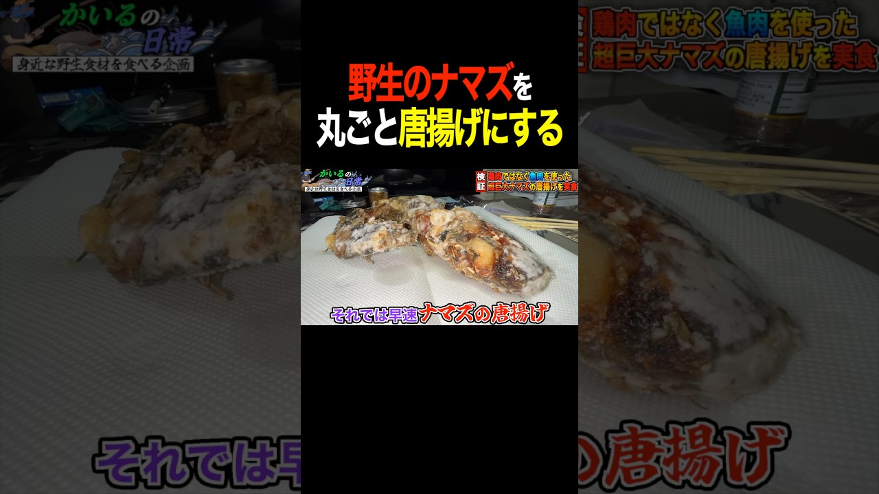 【絶品】ナマズを捕まえて唐揚げにして食べてみた #shorts