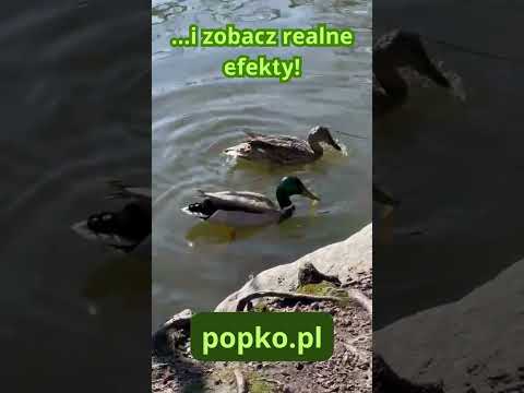 [Encyklopedia Wiedzy Duchowej] W świecie pełnym powierzchowności, prawdziwy spokój znajdziesz tylko głębiej. ✨ Zanurzaj się w wody