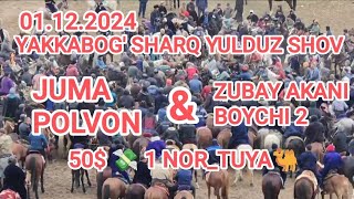 🛸 50$💸 🕊️ nor_tuya 🐫 Shaxrisabiz #JUMA POLVON ZUBAY AKA #BOYCHI 2 BN