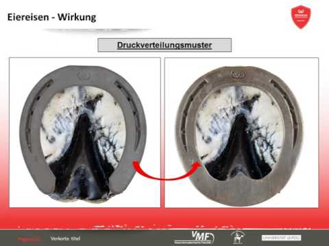 Werkman Horseshoes E Lectures Part 2 - Das Eiereisen