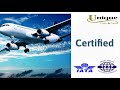 Create A Video On Invideo Io Website Travel Agency Promo 2021 Advertising Company Profile Video