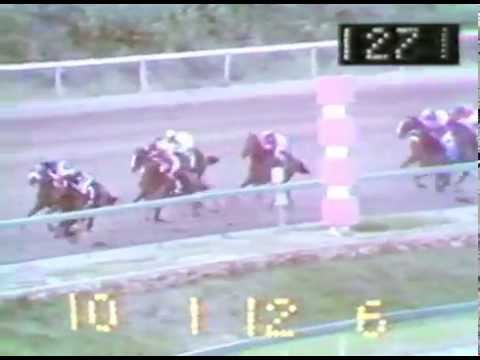 Clásico del Caribe 1977 - Huracán Sí (VEN)