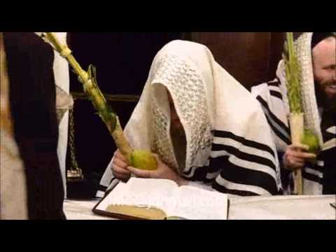 Sukkos 5776 with Lelov Rebbe