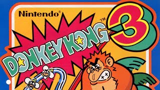 Donkey Kong 3 1983 Arcade Live Flyer