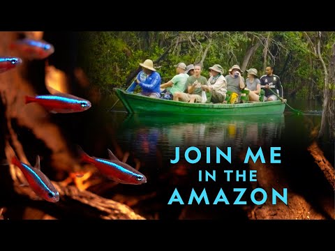 Join the Amazon Rainforest Adventure