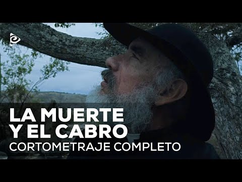 Thumbnail of the video: Tráiler 'La muerte y el cabro' | Disponible en RTVCPlay