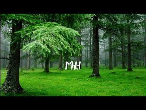 Vaidas Baumila ft. JUSTÉ - Milijonai