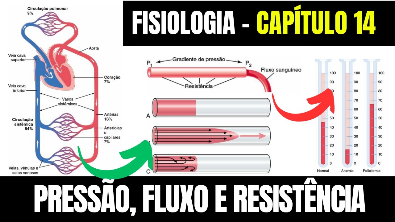 VISÃO GERAL DA CIRCULAÇÃO: Pressão, Fluxo e Resistência  -  Fisiologia (Capítulo 14) │ Guyton e Hall