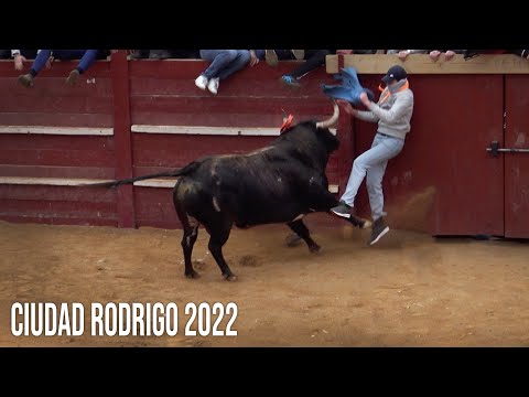Ciudad Rodrigo Carnaval del Toro 2022