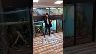 Is it ok to keep reptiles in rack systems?