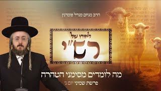 הרב מנחם מנדל פומרנץ | לאורו של רש"י - יום ג' פרשת שמיני • מה לומדים מסמני הטהרה •
