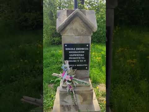 Głowienka, mogiła ludzi z Głowienki którzy zmarli na cholerę w XIX wieku.