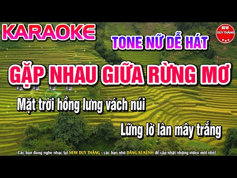 Gặp Nhau Giữa Rừng Mơ Karaoke  Tone Nữ Thấp - New Duy Thắng